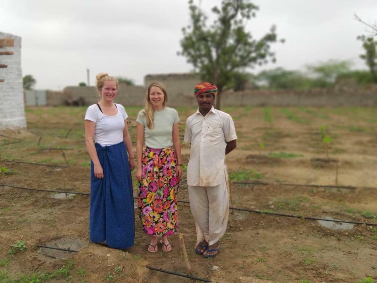 Bishnoi Village Home Stay Jodhpur  Buitenkant foto